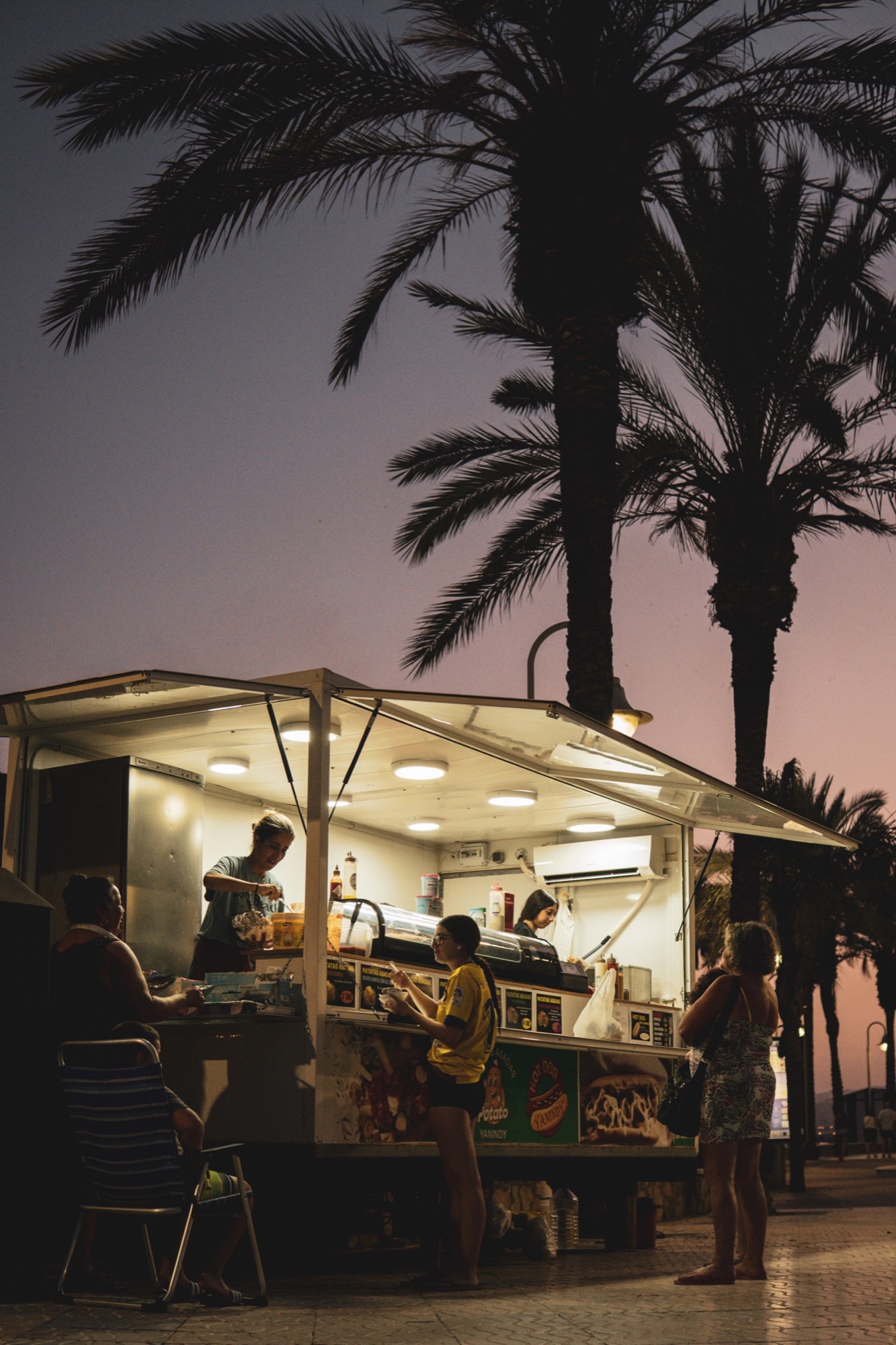 Food truck beneath palm trees at dusk