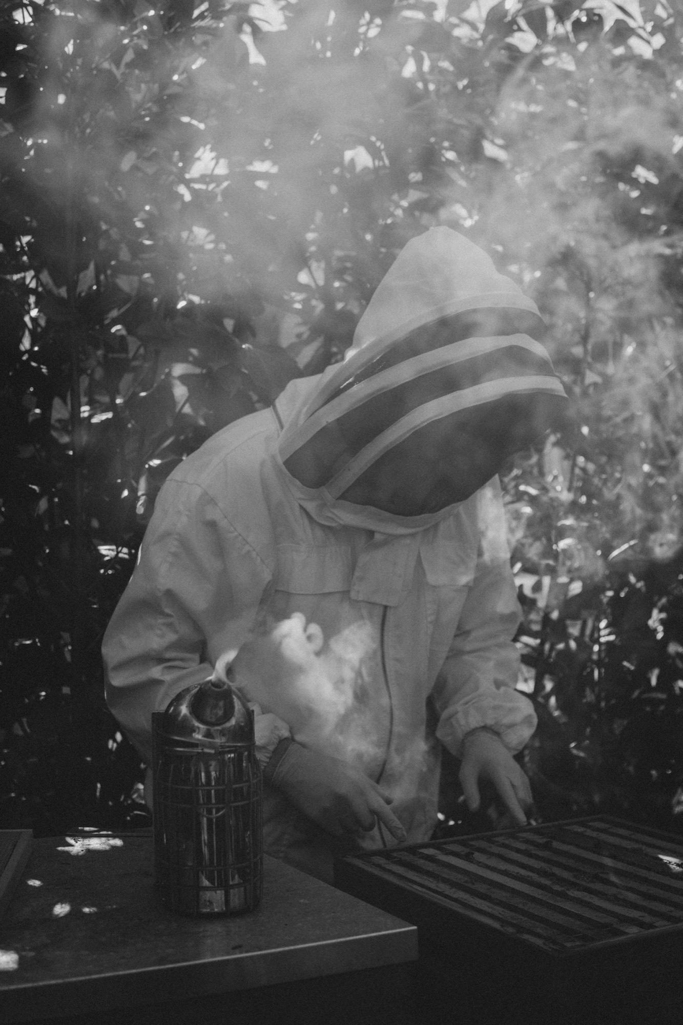 Beekeeper surrounded by smoke in black and white